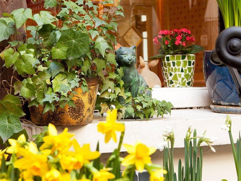 فندق هوتل دالبيون باريس المظهر الخارجي الصورة
